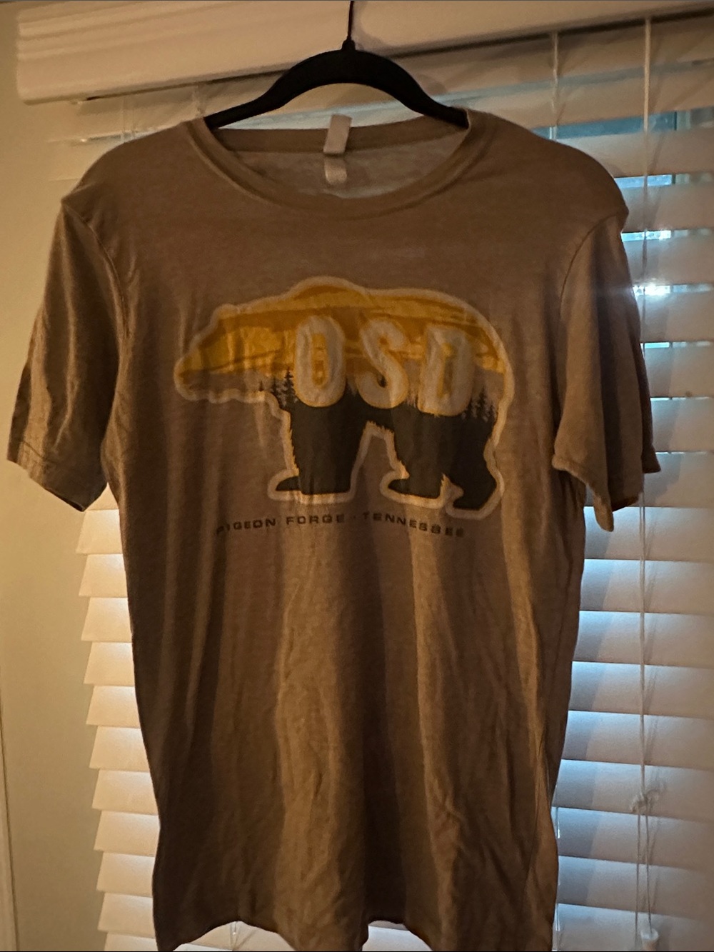 Next Level Apparel Brown Pigeon Forge Tee with Orange and Yellow Black Bear
